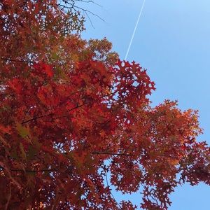 Meet your Posher, Meera